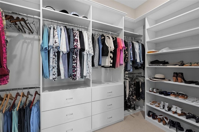 spacious closet featuring light colored carpet