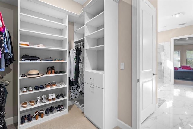 view of spacious closet