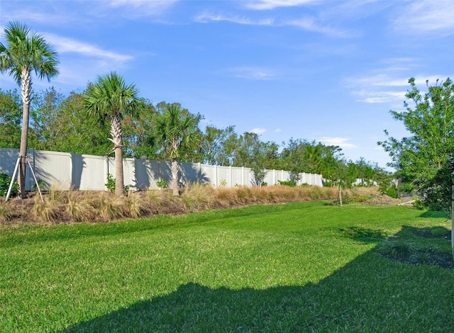 view of yard