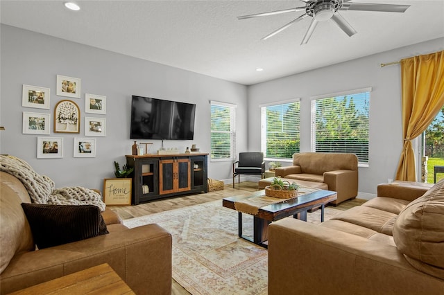 living room featuring ceiling fan, a textured ceiling, and light hardwood / wood-style flooring