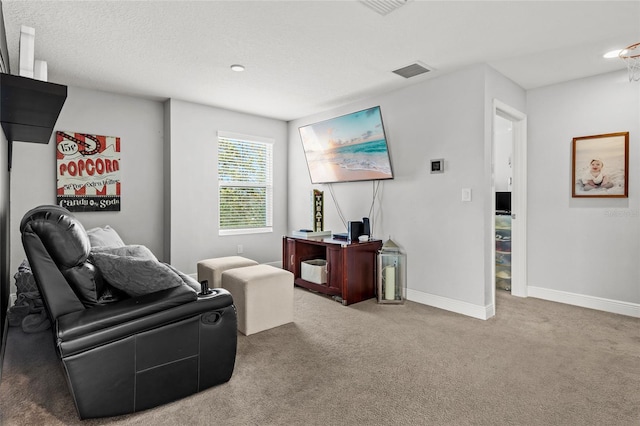 carpeted living room with a textured ceiling