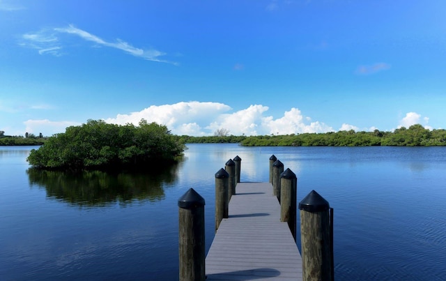 dock area with a water view