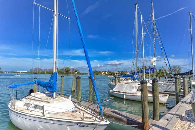 dock area with a water view