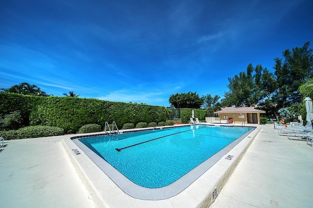 view of pool with a patio area