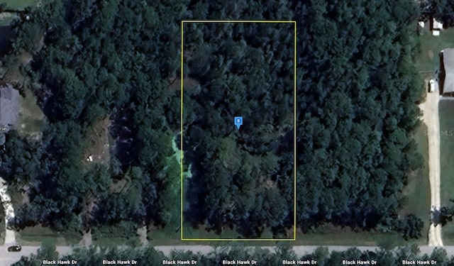 27401 Black Hawk Dr, Wesley Chapel FL, 33544 land for sale