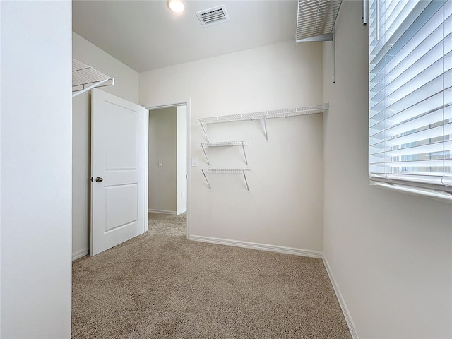 walk in closet featuring carpet