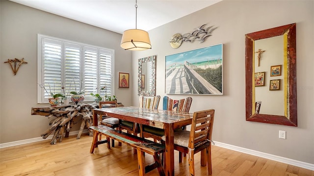 dining room with light hardwood / wood-style flooring