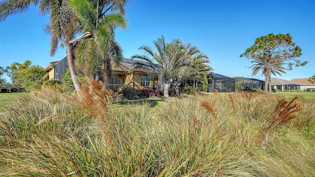 view of yard with a lanai