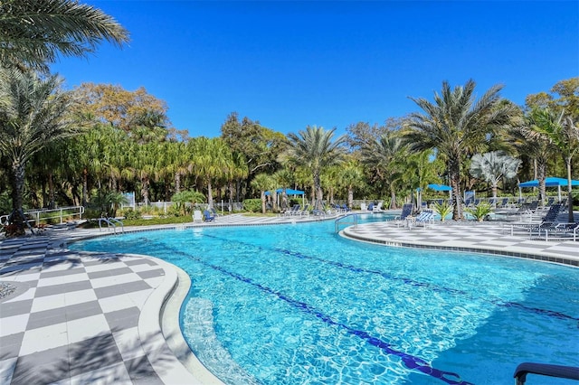 view of pool featuring a patio