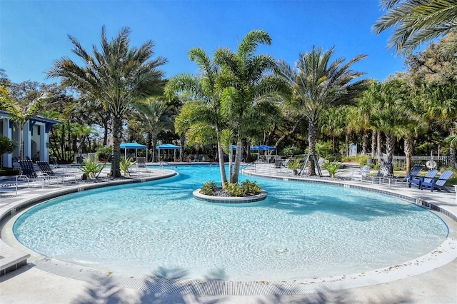 view of pool with a patio