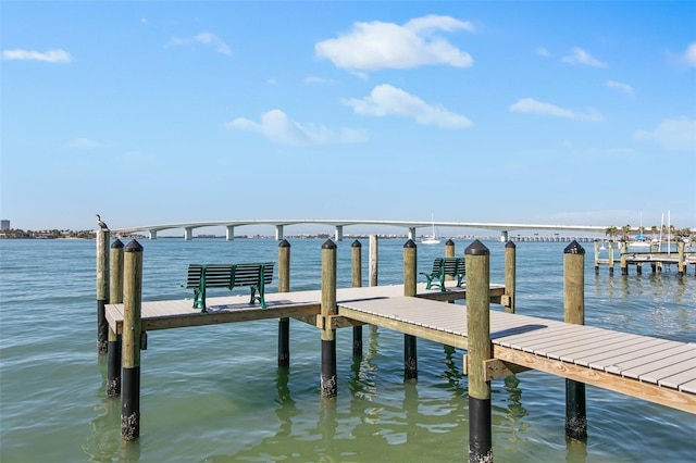 dock area with a water view