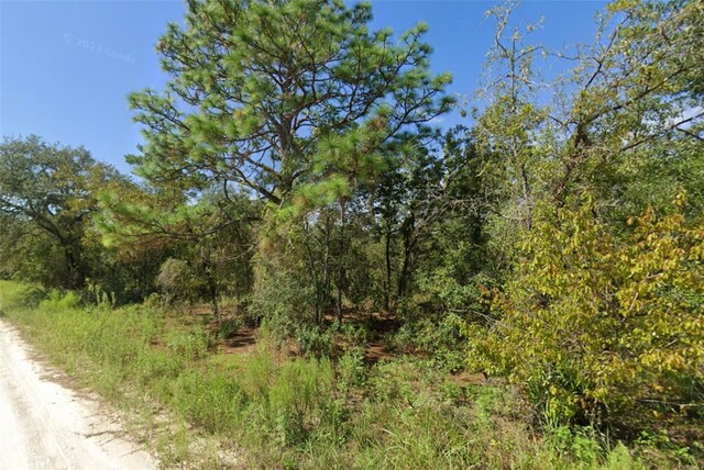 0 NE 119th Ter, Williston, FL 32696 - photo 2