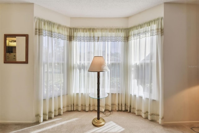 interior space featuring carpet, a textured ceiling, and plenty of natural light