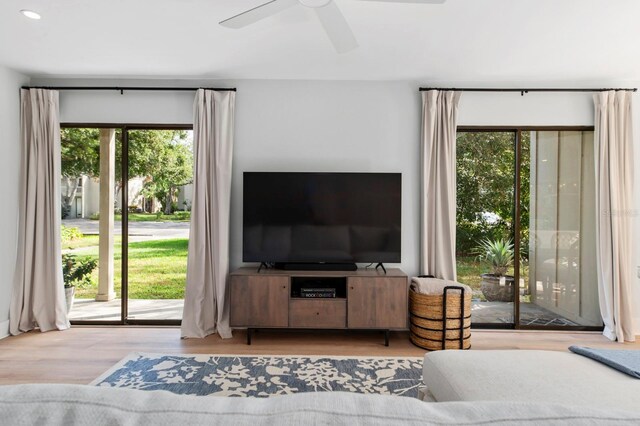 living room with ceiling fan and light hardwood / wood-style floors