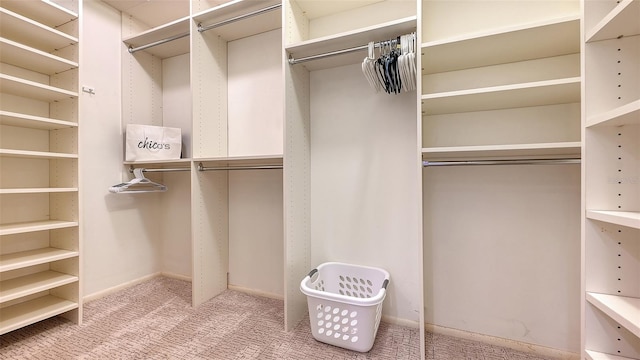 spacious closet with carpet