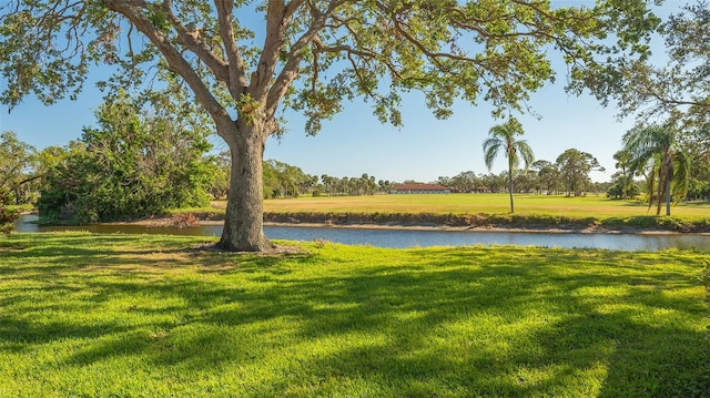 view of yard with a water view