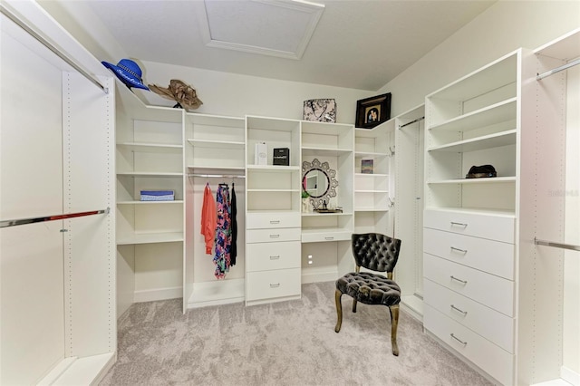 walk in closet featuring light colored carpet