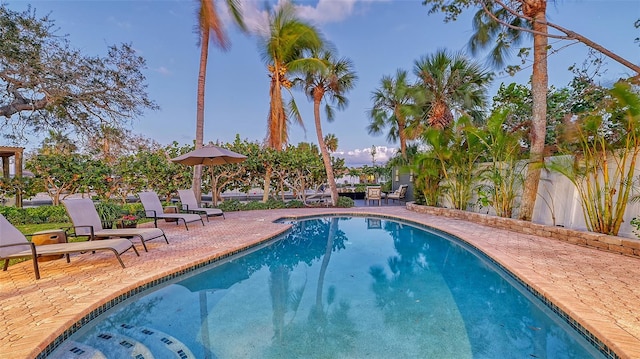 view of pool with a patio area