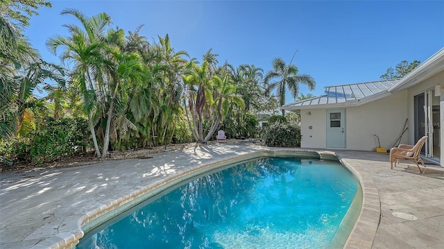 view of swimming pool with a patio area