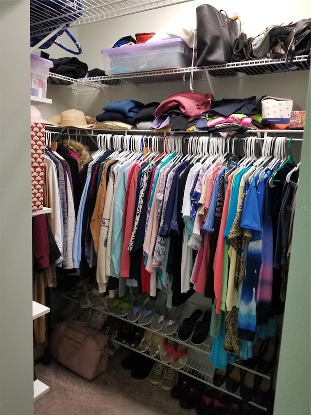 spacious closet featuring carpet flooring