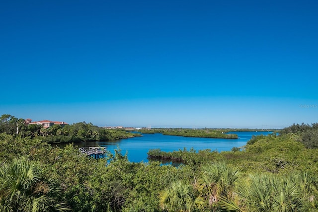 property view of water