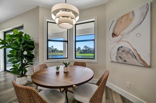 dining room with a wealth of natural light and wood-type flooring