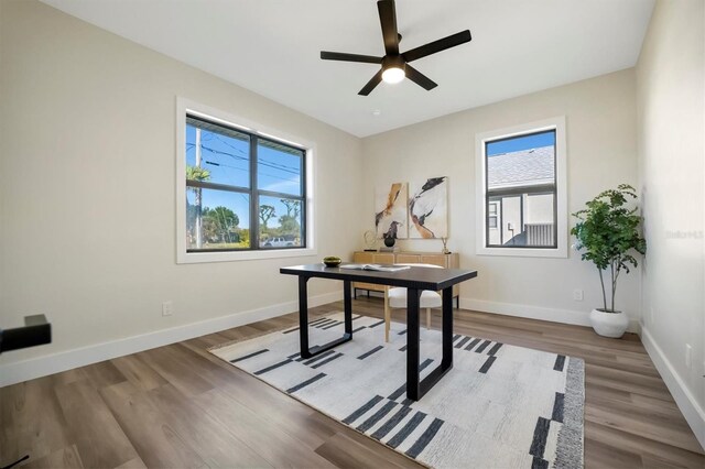 office space featuring ceiling fan and wood-type flooring