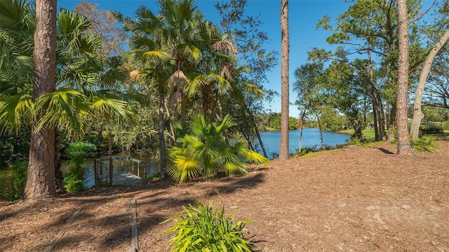 view of water feature