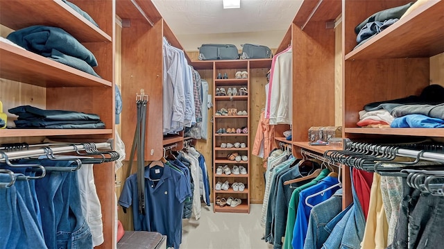 spacious closet featuring carpet