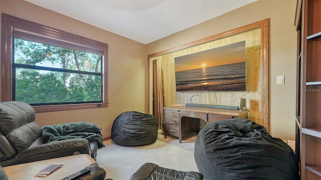 sitting room featuring light carpet