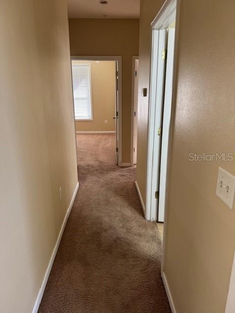 corridor featuring carpet floors