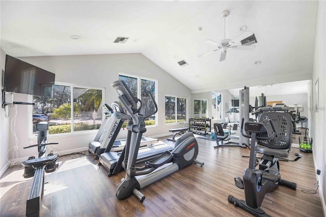 gym with wood-type flooring, plenty of natural light, high vaulted ceiling, and ceiling fan