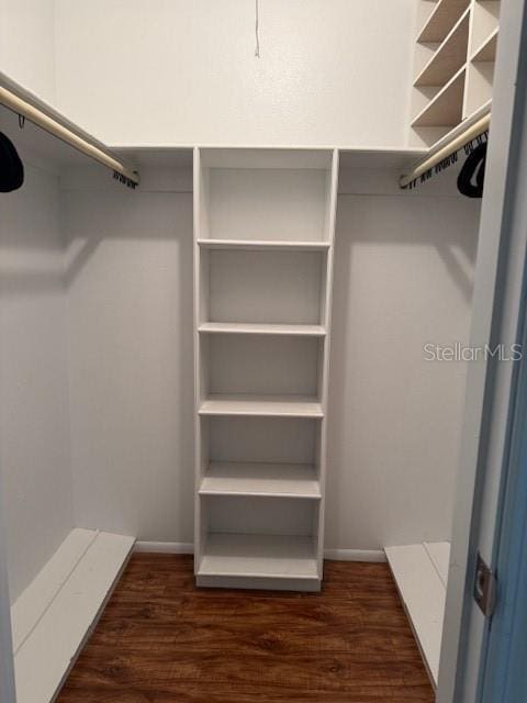 spacious closet with dark wood-type flooring