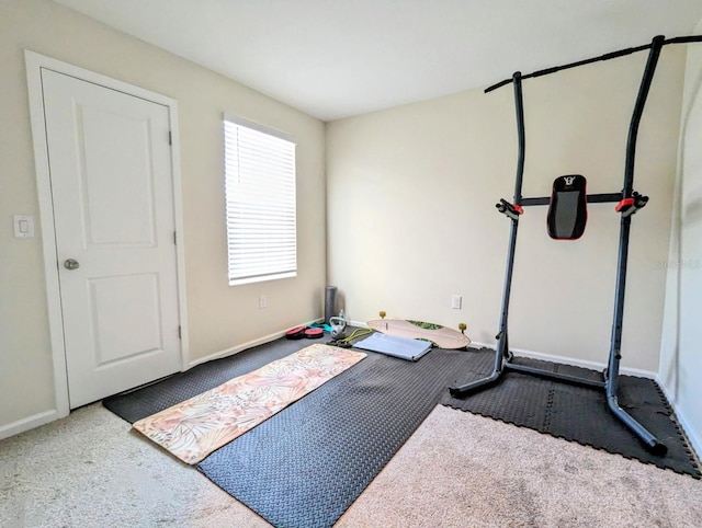 exercise area featuring carpet flooring