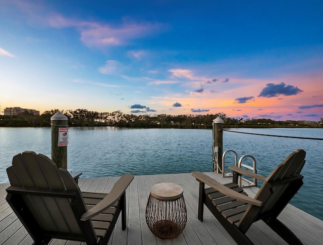 dock area with a water view