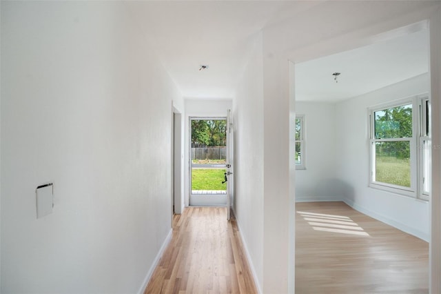 corridor featuring light hardwood / wood-style flooring