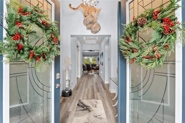 entrance foyer featuring hardwood / wood-style floors and a raised ceiling