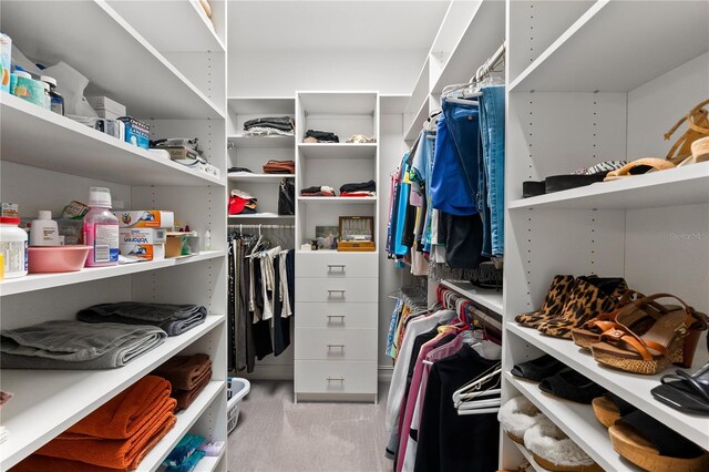 walk in closet with light colored carpet