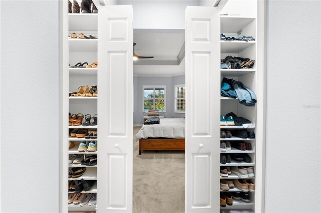 walk in closet with carpet flooring