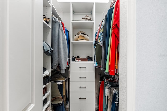 view of walk in closet