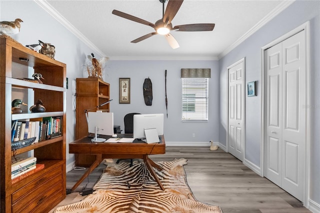 office featuring ceiling fan, light wood-type flooring, and crown molding