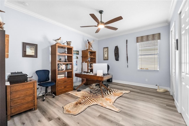 office with ceiling fan, ornamental molding, and light wood-type flooring