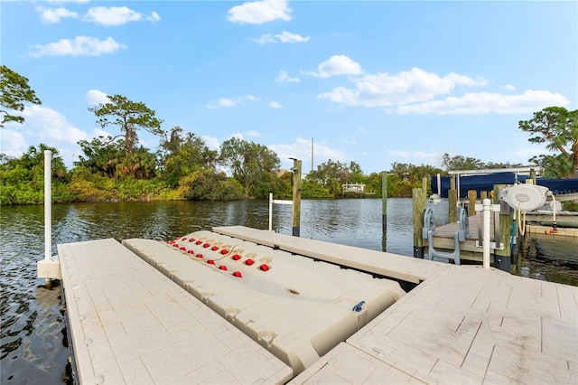 dock area with a water view