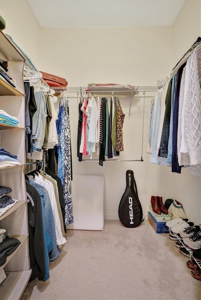 spacious closet featuring carpet flooring