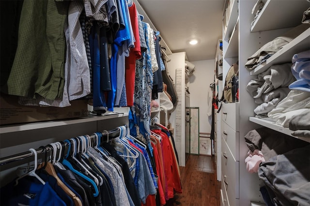 walk in closet featuring dark hardwood / wood-style floors