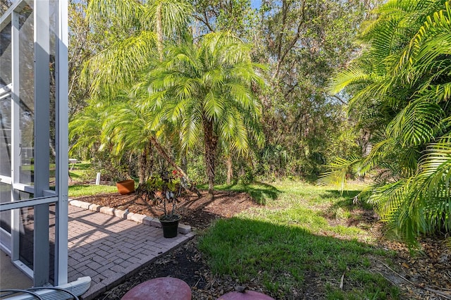 view of yard with a patio