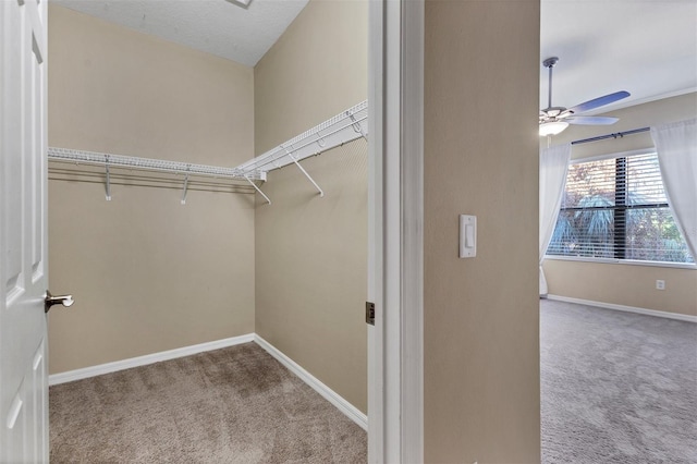 spacious closet featuring light carpet and ceiling fan