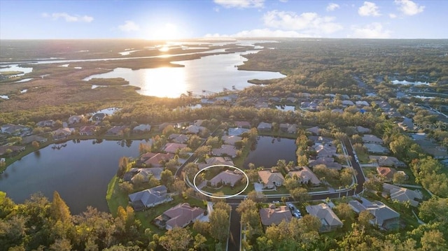 aerial view with a water view