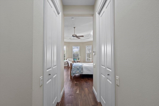 hallway featuring dark wood-type flooring