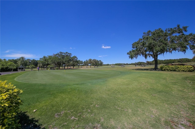 view of community featuring a lawn